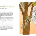 INFLORESCENCE, A Gathering of Flowers: Illustration zeigt einen Baum mit weißen Blüten und Bienen. Texte beschreiben Blüten.