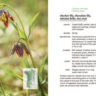 Text beschreibt "checker lily" (Schachbrett-Lilie) mit Details zu Lebensraum, Blütezeit, Aussehen und Verbreitung. Links Foto der Blume.