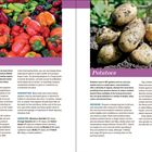 Texte: "Peppers", "Potatoes". Spektren bunter Paprikas und erdige Kartoffeln ziehen Blicke auf sich, begleitet von Anbauhinweisen.