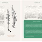 Seite 66: "Horsetail (left) Ebony spleenwort (a type of fern, seen right)"
Seite 67: Titel im Kasten: "Plants Created Us" 

Textauszug und Zeichnung zweier Farnarten.