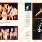 | 60 & 61 | Werbeaufnahmen für eine Show im Idlewild Park in Pennsylvania. 

| 62 | Sylvia auf Shagal bei einer Ringling Bros. Show... 

| 63 & 64 | Aufgehängt beim „The Big E Super Circus“...

Rechts mehrere Fotos einer Akrobatin.