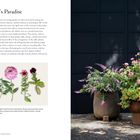 "Pollinator’s Paradise" beschreibt eine Gartenidylle mit ungezähmten, romantischen Züge. Rechte Seite: Zwei Blumentöpfe mit Dahlien.