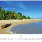 "Martinique" steht links, "Casares Edition" unten. Sandstrand mit Palmen, blauer Himmel, Wellen am Ufer.