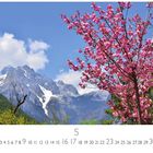 "Frühling im Himalaya." Ein blühender Baum mit rosa Blüten vor schneebedeckten Bergen und blauem Himmel.