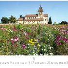 "Insel Reichenau" steht unten links. Feld mit bunten Blumen vor einer alten Kirche unter blauem Himmel.