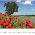 "Landschaft bei Groß Schoritz." Blühende rote Mohnblumen, ein großer Baum, Straße, blauer Himmel mit wenigen Wolken.