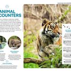 "Animal Encounters" in großer Schrift. Ein Tiger und zwei kleinere Bilder: ein Vogel und ein Elefant. Texte zu Tierbeobachtungen.
