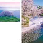 Links: "JAPAN", "162". Rechts: Blühende Kirschbäume über einem Fluss, in dem ein Boot fährt.