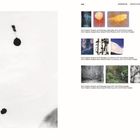 Seite 229 zeigt Fotografie und Bezeichnungen wie "Flügelschlag," "I See Darkness," "Wand" von Ester Vonplon.