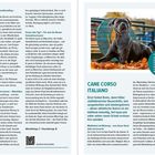 Berner Sennenhund. Cane Corso Italiano. Multitalent mit Meinung. Hundetypen entdecken – Finde dein Match. Bild: Hund auf Laub.