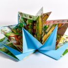 Illustration eines aufgeschlagenen Kinderbuchs in Fächerform, mit bunten Seiten und vielfältigen Motiven.