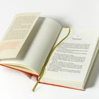 Geöffnete Buchseiten, Kapitel "Fliegenfänger". Ein Lesezeichen liegt im Buch, das Cover ist orange. Ein Beilagenblatt liegt bei.