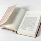 Buch aufgeschlagen. Links ist ein Buchumschlag mit mehreren Textabsätzen. Rechts beginnt Kapitel 1 mit dem Titel "GRETA".
