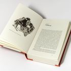 Texte: "Kapitel 1: Einführung", "Meisterlingsstrukturen auf dem Packeisstränden". Ein Buch mit einer Illustration von Pinguinen.