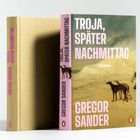 Der Buchumschlag zeigt Texte: "TROJA, SPÄTER NACHMITTAG", "ROMAN", "GREGOR SANDER". Hintergrund: Wüstenlandschaft mit Hunden.