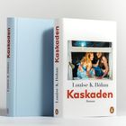 Auf dem Buchcover steht "Louise K. Böhm, Kaskaden, Roman". Ein Gemälde zeigt zwei Menschen an einem Fenster.