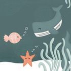"Zzz." Illustration: Ein schlafender Seestern, ein Fisch, eine lächelnde Walfigur, und Algen in einem stilisierten Meeresszenario.
