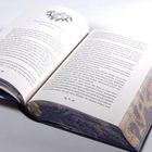 Kapitelüberschrift: "Eine außergewöhnliche Erklärung". Darunter fortlaufender Text in einem geöffneten Buch mit illustrierten Rändern.