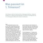 Text: "Was passiert im 1. Trimenon?" und "Dein Körper stellt sich jetzt auf die Schwangerschaft ein." 

Oben links eine lila Kreisanzeige mit der Zahl 10. Darunter viel erläuternder Text über das erste Trimester der Schwangerschaft.