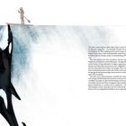 Text über Orcas und ihre soziale Intelligenz. Links ein Orca unter Wasser, darüber eine Person auf einem Paddleboard.