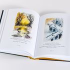 Links: „Amaya hielt Ausschau nach der Stelle...“, rechts: „Sie überquerten eine breite Brücke...“ Oben Illustrationen: Wald und Brücke.