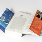 Text: „Barbara“, „Gisa Pauly half zwanzig Jahre lang“, „Die Achse ist anders“. Aufgeschlagenes Buch mit Bild einer Möwe und Autoreninfo.