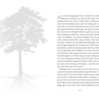 Der Text beschreibt, wie Traditionen wichtig sind, ohne zugleich Neues abzulehnen. Illustration: Schatten eines Baumes.