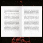 Text über Drachen, die trotz alter Geschichten über ihr Verschwinden noch leben könnten. Illustration mit Drachenflügeln.