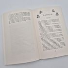 Seite aus einem Buch, rechts oben "Kapitel 19" mit Blumenillustration, darunter "Reggio". Seite 145 unten rechts.