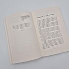 Kapitel 16 – Feuer in der Nacht. Zitat: „Ich bin das Kind von niemandem und niemandes Bruder.“ Seitenzahl: 243. Links Illustration.