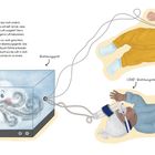 "Luft holen" steht oben. Zwei Babys mit Atemmasken sind zu sehen. Ein Beatmungsgerät pustet Luft in Schläuche.