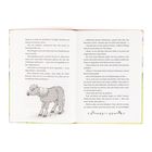 Text auf den Seiten beschreibt eine Szene mit Ponys und Charakteren wie Jana, Jelko und Merle. Zeichnung eines Ponys.