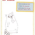 Der WASbär. LIEBLINGSSPRUCH: Was? STÄRKE: Alles abwaschen SCHWÄCHE: Hört nicht gut. Illustration eines Waschbären.