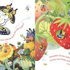 Schau, Rita und Silas! Mit wem willst du durch die Lüfte tanzen? Gestatten, Gustav Grille. Ich bin Lisa Libelle.