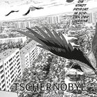 Text: "Die Stadt Prypjat im Norden der Ukraine. Tschernobyl: Eine Chronik der Zukunft. Der Manga." Illustration von Vögeln über verlassener Stadt.