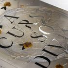 "A Curse So Dark" in großer Schrift, umgeben von filigranen Zweigen mit gelben Blüten auf einem strukturierten Deckel.