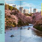 Willkommen in Japan! Bildtext: Kirschblüte im Park, Boote auf Wasser, Hochhäuser im Hintergrund, rosa Blütenpracht.