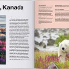 "Churchill, Kanada. JULI: WEISSE BÄREN, WEISSE WALE." Foto: Eisbär in blühender Landschaft, Flugvogel in der Luft, Text über Churchill.