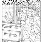 Oben steht "Platform 9 3/4". Ein Junge schiebt einen Wagen mit Koffern und einer Eule vor einer gemauerten Wand.