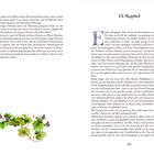 Text oben rechts: "13. Kapitel". 
Seitennummer unten rechts: "201".
Illustration unten: Efeuranke mit lila Blüten.