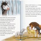 Texte: Beschreibung von Pferden und Julika. Illustration: Pferde im Regen, eines schaut aus einem Vorhang, andere stehen zusammen.