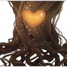 Texte:
Links: „Meine Erinnerungen?“, fragte sie überrascht.
„Warum sind meine Erinnerungen denn so wichtig?“
Der kleine Samenkobold erklärte: „Weil jede einzelne deiner Erinnerungen eine Zauberkraft hat. Sie lassen deine Wurzeln wachsen und verleihen dir eine besondere Stärke.“

Rechts: „Mit dieser Zauberkraft wirst du so stark wie ein großer mächtiger Baum, der selbst den stärksten Sturm und das schlimmste Unwetter trotzen können. Mit dieser Zauberkraft kannst du alles schaffen.“

Beschreibung:
Eine Illustration zeigt einen Baum mit sichtbaren Wurzeln. In der Mitte leuchtet ein herzförmiges, goldenes Licht.