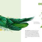 "DER GURKUCK" steht oben. Links Gemälde eines grünen Vogels aus Gurken und Blättern. Rechts Illustration: Gurke mit Pflanzen.