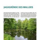 JAGDGRÜNDE DES WALLERS. Ein naturbelassener See, umgeben von dichten Bäumen, spiegelt den Himmel und das Grün der Umgebung wider.