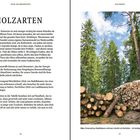 **HOLZARTEN**: Die Wahl der Holzarten ist bei einem Holzofen wichtig. Auf dem Bild sind Bäume und gestapeltes Holz zu sehen.