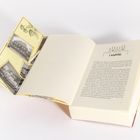 Ein aufgeschlagenes Buch. Links sind Fotos und Zeichnungen von Erdbeeren. Rechts steht "1. KAPITEL" mit Silhouette oben.