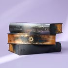Der Titel lautet "When Shadows Darken the Sun" von Nina Schilling. Drei Bücher mit mystischem Coverdesign.