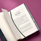 1. Kapitel: Ravyn. Ein Buch liegt offen, ein grünes Leseband ist sichtbar, der Hintergrund ist rosa.