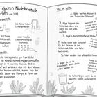 Deine eigenen Nadelkristalle herstellen. Anleitung in zwei Spalten mit Text, Illustrationen von Kristallen, Tassen, Wasserhahn.