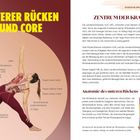 "Unterer Rücken und Core" in Gelb; Frau im Yogapose; Muskeln und Wirbelsäule beschriftet: Delta, Latissimus dorsi, Quadratus lumborum.